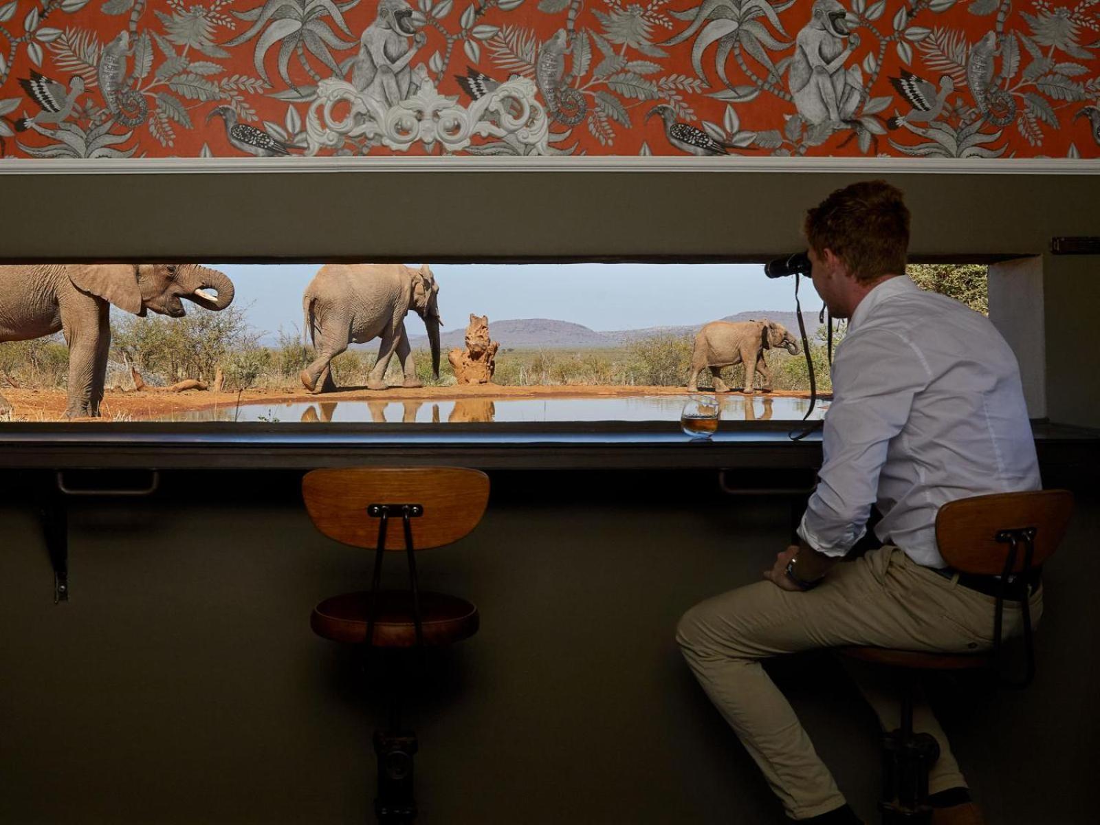 Вилла Molori Safari Derdepoort Экстерьер фото